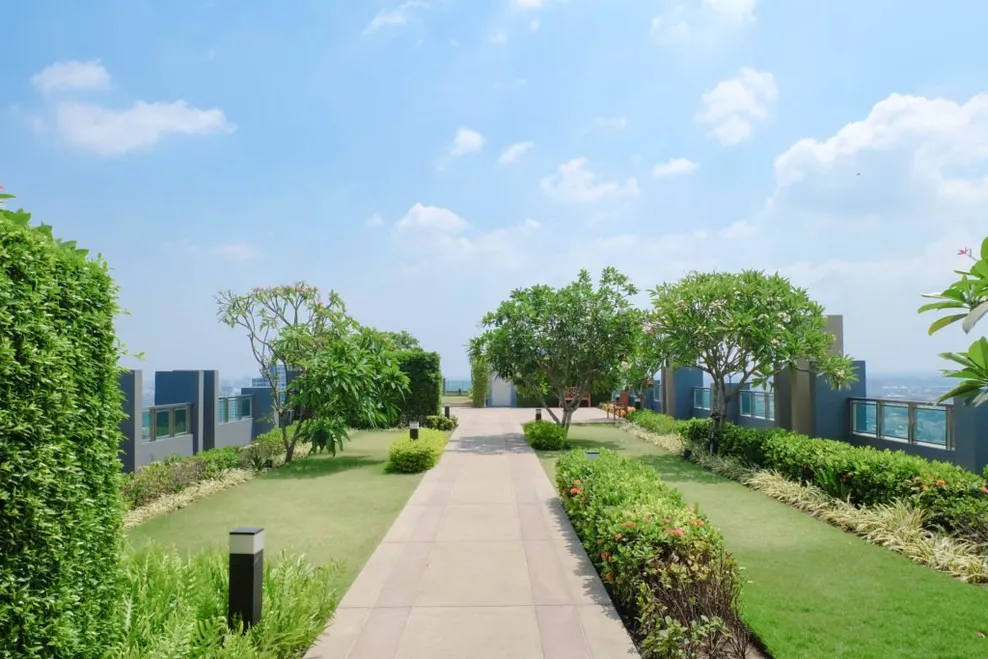 La importancia de los drenajes en las cubiertas ajardinadas