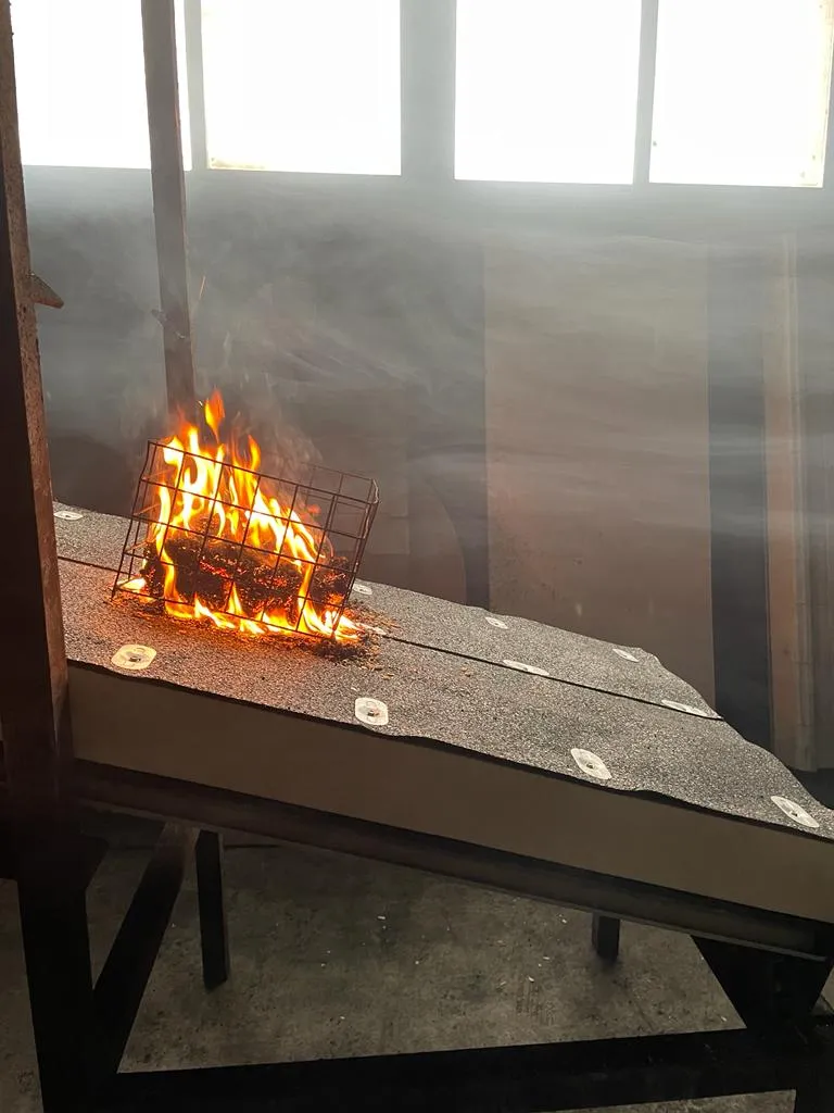 ensayo fuego