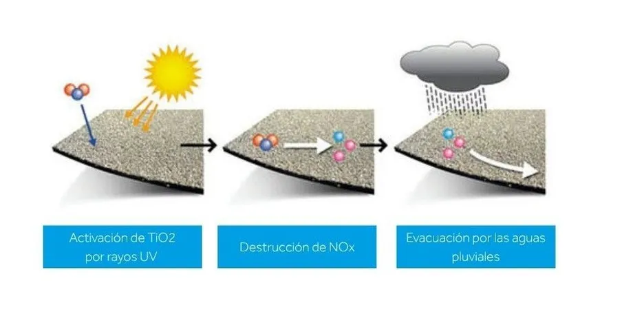 politaber-nature-esquema