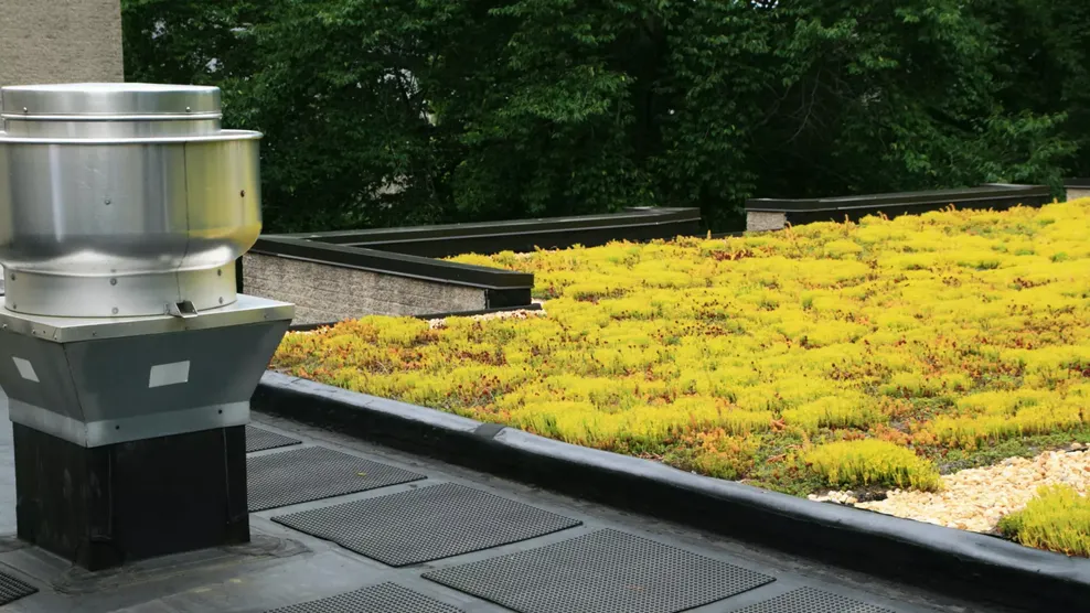 Politica calidad y medioambiente