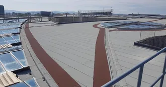 232262498_368568934836606_1549721727886639261_n