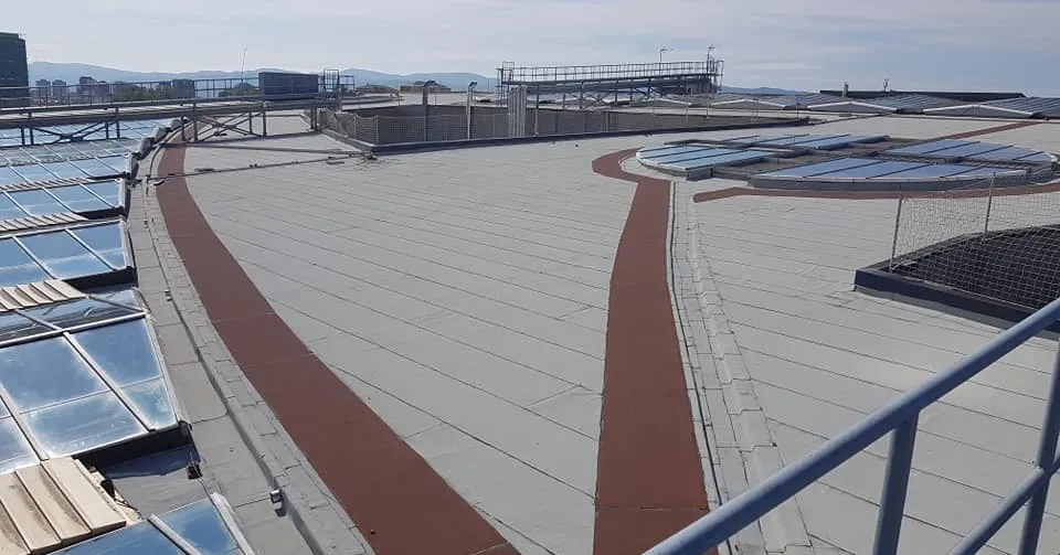 232262498_368568934836606_1549721727886639261_n