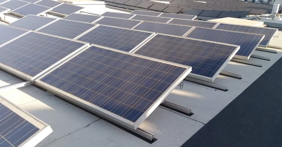 Copia de IMG-20180625-WA0013