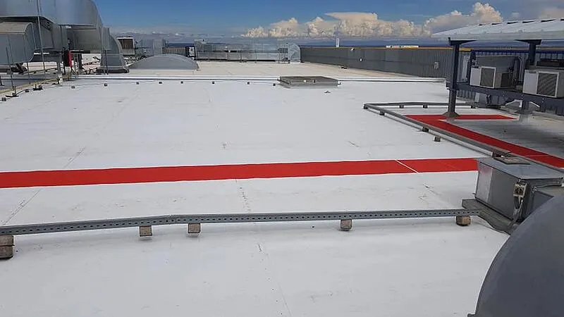 241972212_395725238787642_4963224567407734177_n