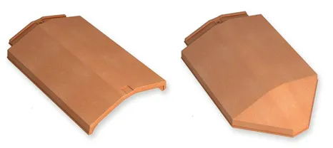 puntos singulares-logica plana