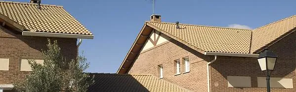 gredos-zona-teja-1-1