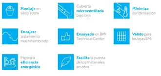 tectum plus rastreles